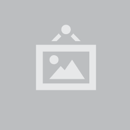 EaseUS Partition Master Professional